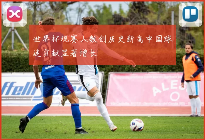 世界杯观赛人数创历史新高中国球迷贡献显著增长