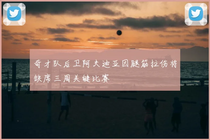 奇才队后卫阿夫迪亚因腿筋拉伤将缺席三周关键比赛